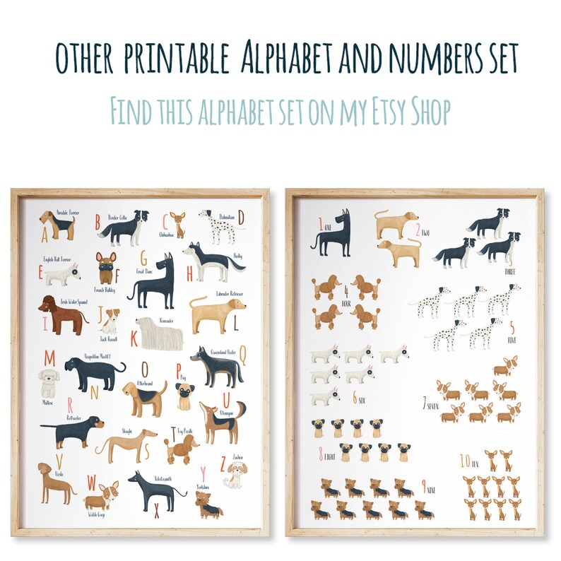 Pode incluir: Dois cartazes imprim&iacute;veis com ilustra&ccedil;&otilde;es de diferentes ra&ccedil;as de c&atilde;es. O primeiro cartaz mostra o alfabeto com cada letra emparelhada com uma ra&ccedil;a de c&atilde;o. O segundo cartaz mostra os n&uacute;meros de 1 a 10 com cada n&uacute;mero emparelhado com uma ra&ccedil;a de c&atilde;o.