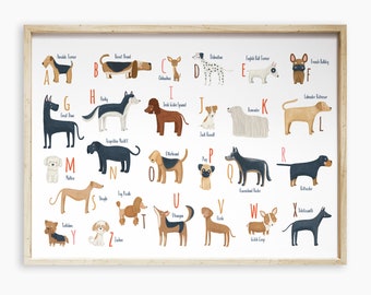 Rectangular Printable dogs Alphabet for Dogs lovers, Dalmatian, Basset Hound, ABC dogs breeds, Dog alphabet poster horizontal, dogs wall art