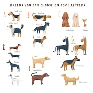Dog Alphabet Printable Poster, Dogs Alphabet and Numbers Set for a Dog ...