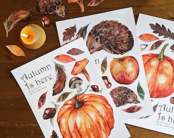 Autumn pictures for play, nature table or posters download