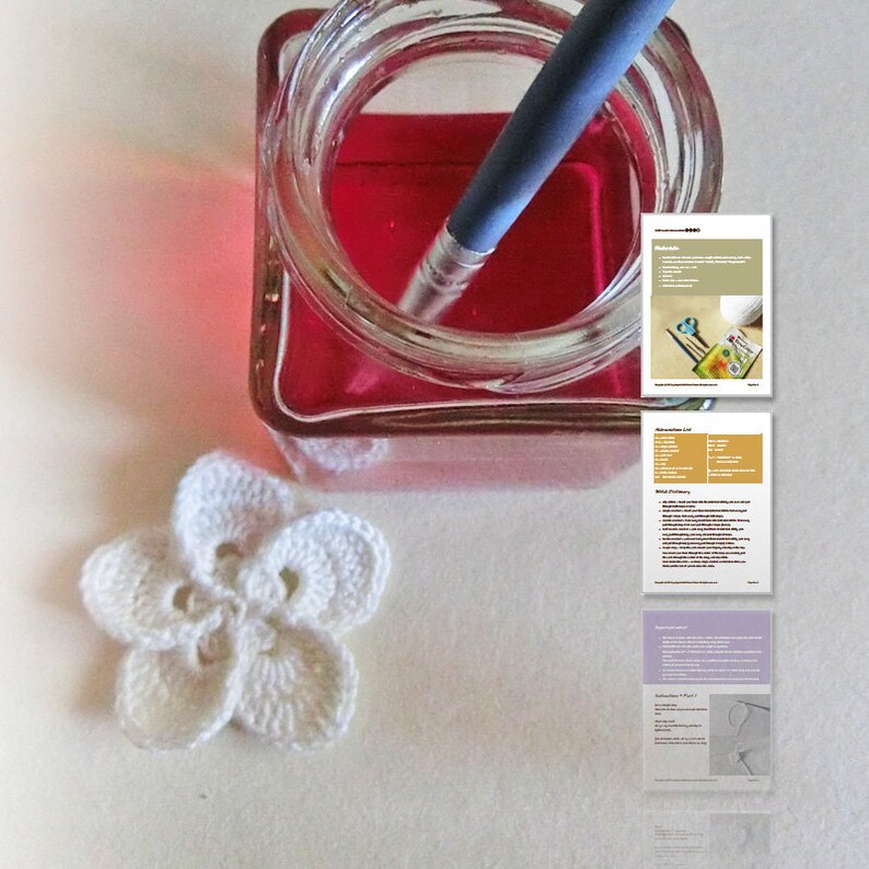 May include: A white crocheted flower with five petals, a glass jar filled with red liquid, and a paintbrush. The jar is on a white surface. There are three pages of instructions for crocheting the flower.