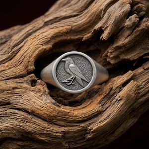 Raven Signet Ring, Gothic Crow Pinky Ring, Viking Mythology Gift for Him, Dark Nature Gift for Her