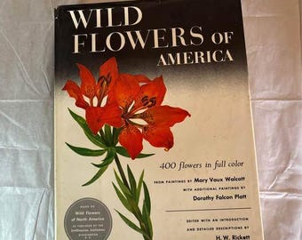 Vilda blommor i Amerika Mary Vaux Walcott 400 färgplanscher 1978 Inbunden