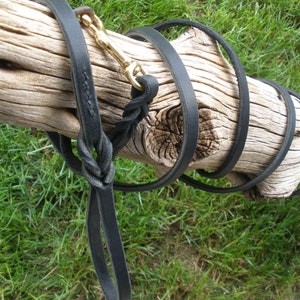 May include: A black leather dog lead with a braided section and a brass clasp. The lead is wrapped around a piece of driftwood.