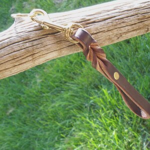 Pflanzlich gegerbtes Hundehalsband mit Schnalle in HONEY-Farbe, 3/4" x 50"-25 cm Länge, D-Ring, Schnalle & Nieten aus SOLID Messing, handgefertigt von Don Willett in den USA Bild 16