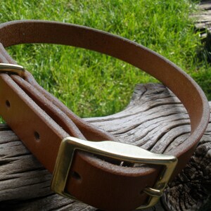 K&ouml;nnte beinhalten: Ein braunes Lederhundekragen mit einer Messing-Schnalle. Das Halsband liegt auf einem St&uuml;ck verwittertem Holz.