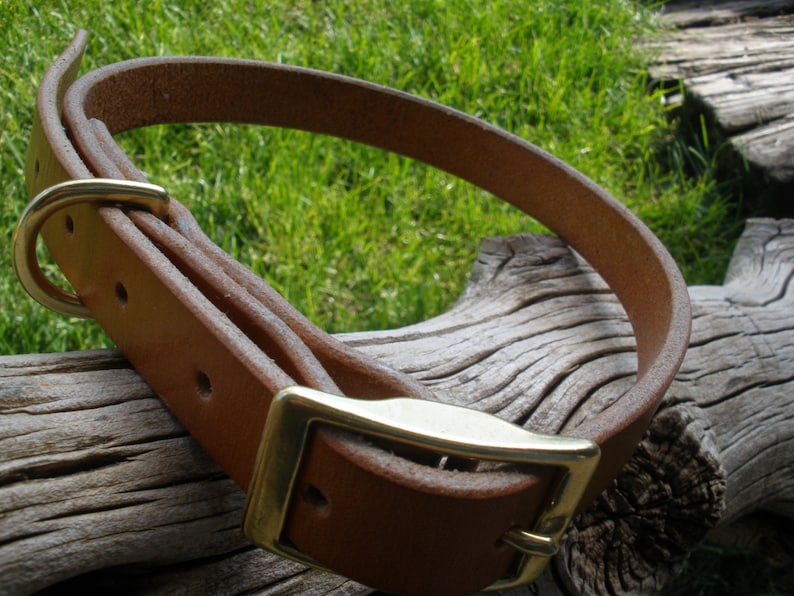 K&ouml;nnte beinhalten: Ein braunes Lederhundekragen mit einer Messing-Schnalle. Das Halsband liegt auf einem St&uuml;ck verwittertem Holz.
