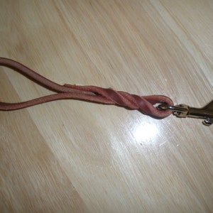 May include: A brown leather dog leash with a silver metal clip.