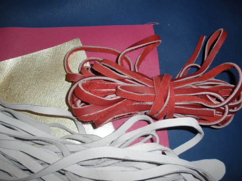 RED silver bolt snap Leather dog leash Braided 4 strand 38 X 56 walking or show leash WHITE and BLUE