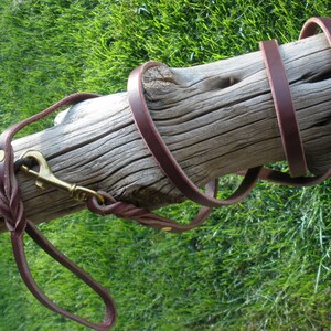 Leather dog leash, 1/2&quot; X 6&#39;-8&quot;, solid brass snap, brass rivets, obedience training or show leash, Hand made by Don Willett in USA,
