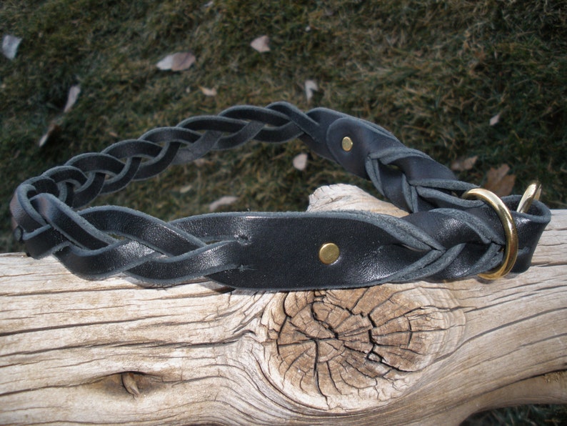 Pu&ograve; includere: Un collare in pelle nera caratterizzato da un design intrecciato con una sezione in pelle liscia e piatta fissata da un rivetto in ottone. Il collare include un anello circolare in ottone per l'aggancio, mostrando una costruzione resistente.