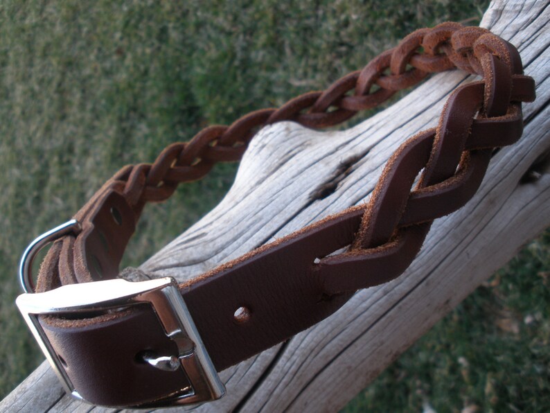 Puede incluir: Un collar de cuero marr&oacute;n oscuro con un dise&ntilde;o trenzado a lo largo de la correa. El collar incluye una hebilla de metal plateado pulido y una anilla en D a juego para la sujeci&oacute;n, mostrando un acabado liso en la correa y bordes texturizados.