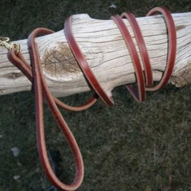 Puede incluir: Una correa para perro de cuero color marr&oacute;n rojizo con un acabado liso y un mosquet&oacute;n giratorio de metal dorado en el extremo. La correa est&aacute; fabricada con una sola tira de cuero con costuras visibles en los bordes y un asa en bucle.