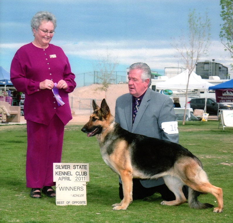 Puede incluir: Un pastor alem&aacute;n de pie sobre la hierba junto a un cartel que dice SILVER STATE KENNEL CLUB APRIL 2011 WINNERS BEST OF OPPOSITE. El perro tiene pelaje negro y fuego, orejas puntiagudas y est&aacute; junto a una persona con chaqueta de traje gris.