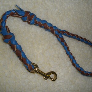 Pu&ograve; includere: Un guinzaglio in pelle intrecciata caratterizzato da fili alternati di colore marrone e blu brillante. Il guinzaglio include un moschettone girevole in metallo color oro lucido fissato a un'estremit&agrave;, con un'impugnatura ad anello in pelle.