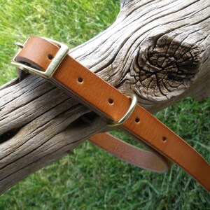 K&ouml;nnte beinhalten: Ein braunes Lederhundekragen mit einer Messing-Schnalle. Das Halsband liegt auf einem St&uuml;ck verwittertem Holz.