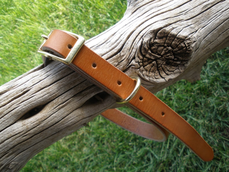 K&ouml;nnte beinhalten: Ein braunes Lederhundekragen mit einer Messing-Schnalle. Das Halsband liegt auf einem St&uuml;ck verwittertem Holz.