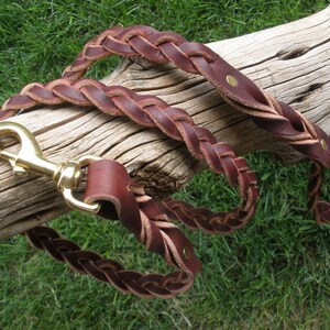 May include: Braided brown leather dog leash with a brass-colored clasp. The leash is lying on a piece of driftwood against a backdrop of green grass. The leather is a rich, dark brown color.