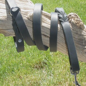 Pflanzlich gegerbtes Hundehalsband mit Schnalle in HONEY-Farbe, 3/4" x 50"-25 cm Länge, D-Ring, Schnalle & Nieten aus SOLID Messing, handgefertigt von Don Willett in den USA Bild 15