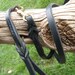 see more listings in the SHOW LEASHES section