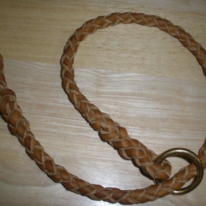Braided Leather slip collar, 3/8&quot; X 24&quot;, Camel / caramel, solid brass rings, made in USA by Don Willett, general use collar, leash training