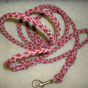 Pflanzlich gegerbtes Hundehalsband mit Schnalle in HONEY-Farbe, 3/4" x 50"-25 cm Länge, D-Ring, Schnalle & Nieten aus SOLID Messing, handgefertigt von Don Willett in den USA Bild 11