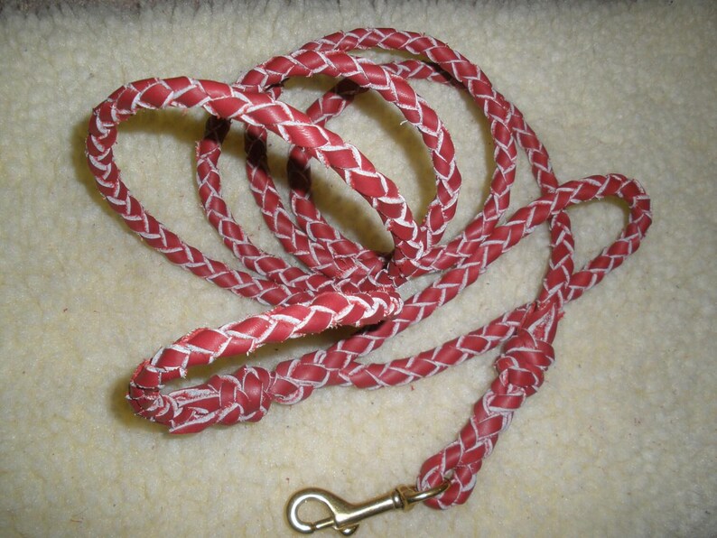 Pflanzlich gegerbtes Hundehalsband mit Schnalle in HONEY-Farbe, 3/4" x 50"-25 cm Länge, D-Ring, Schnalle & Nieten aus SOLID Messing, handgefertigt von Don Willett in den USA Bild 11