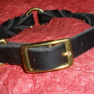 Puede incluir: Un collar de cuero negro que presenta una secci&oacute;n trenzada y una secci&oacute;n de correa lisa. El collar se asegura con una hebilla de metal dorado pulido e incluye una anilla en D dorada a juego. Los herrajes est&aacute;n fijados con remaches dorados.