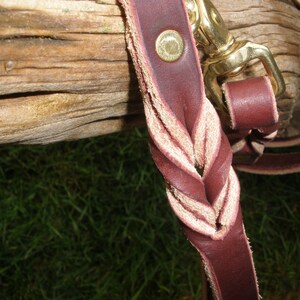 Pu&ograve; includere: Un guinzaglio in pelle bordeaux scuro con una sezione intrecciata e un moschettone girevole in metallo dorato. Il cinturino in pelle presenta una finitura liscia all'esterno e un lato inferiore testurizzato di colore naturale visibile nell'intreccio.