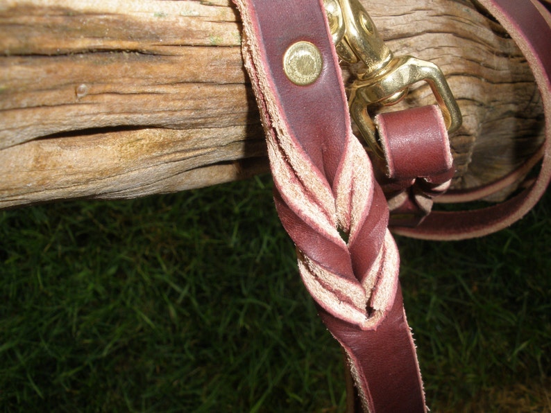 Pu&ograve; includere: Un guinzaglio in pelle bordeaux scuro con una sezione intrecciata e un moschettone girevole in metallo dorato. Il cinturino in pelle presenta una finitura liscia all'esterno e un lato inferiore testurizzato di colore naturale visibile nell'intreccio.