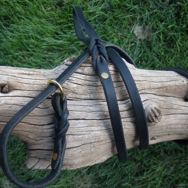 Leather SLIP leash collar combo, 3/8" X 69", BLACK latigo leather, SOLID brass ring & rivets, hand made in U S A by Don Willett, small dog