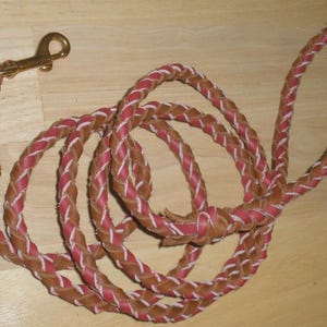 Pu&ograve; includere: Un guinzaglio intrecciato caratterizzato da fili alternati in pelle marrone e rossa con accenti di cuciture bianche. Il guinzaglio include un moschettone girevole in metallo dorato a un'estremit&agrave; e un'impugnatura ad anello all'altra, mostrando una costruzione resistente.