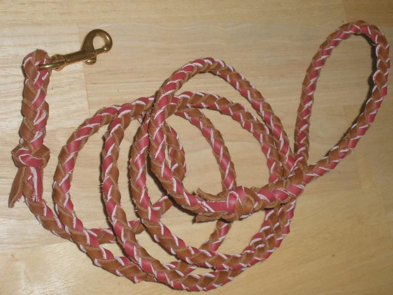 Pu&ograve; includere: Un guinzaglio intrecciato caratterizzato da fili alternati in pelle marrone e rossa con accenti di cuciture bianche. Il guinzaglio include un moschettone girevole in metallo dorato a un'estremit&agrave; e un'impugnatura ad anello all'altra, mostrando una costruzione resistente.
