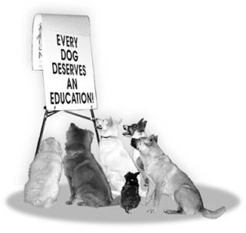 K&ouml;nnte beinhalten: Ein Schwarzwei&szlig;foto einer Gruppe von Hunden, die vor einer wei&szlig;en Tafel sitzen, auf der der Text "Every dog deserves an education!" steht.