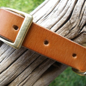 K&ouml;nnte beinhalten: Nahaufnahme eines braunen Lederhundekragens mit einer Messing-Schnalle und einem D-Ring.