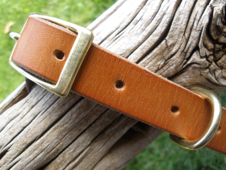 K&ouml;nnte beinhalten: Nahaufnahme eines braunen Lederhundekragens mit einer Messing-Schnalle und einem D-Ring.