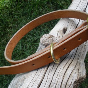 K&ouml;nnte beinhalten: Ein braunes Lederhundekragen mit Messingbeschl&auml;gen. Das Halsband liegt auf einem St&uuml;ck verwittertem Holz.