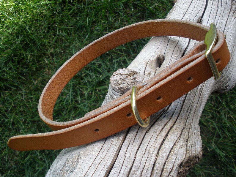 K&ouml;nnte beinhalten: Ein braunes Lederhundekragen mit Messingbeschl&auml;gen. Das Halsband liegt auf einem St&uuml;ck verwittertem Holz.