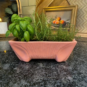 May include: A rectangular, light pink ceramic planter with a ribbed texture and four small feet. The planter is filled with fresh green herbs, including basil, rosemary, and thyme, which are growing out of the top of the container.