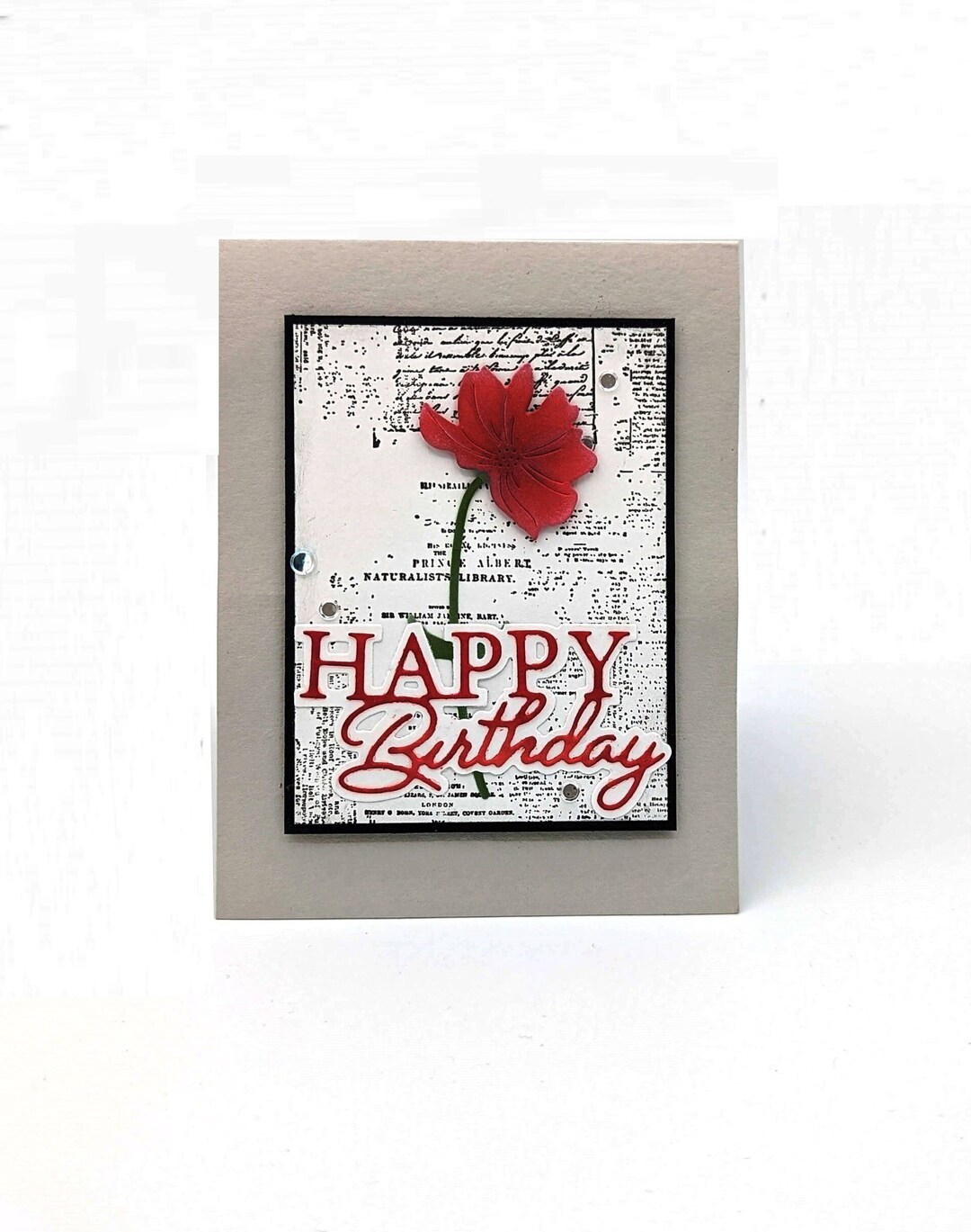 Red Flower Birthday Card Happy Birthday Blank Card Red Etsy