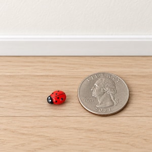May include: A miniature red ladybug figurine with black spots and a black head, positioned next to a United States quarter coin for scale. The ladybug is painted with a glossy finish and features a rounded, convex shape typical of the insect.