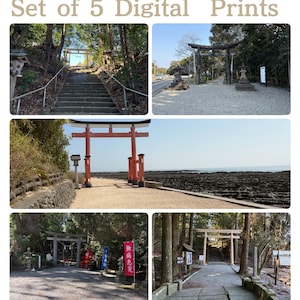 Japan Torii Gate Photo Set of 5 Sacred Shinto Gate Digital Print Miyazaki Ocean Red Torii Forest Shrine Travel Wall Art Gallery Set