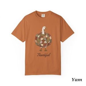May include: A burnt orange short-sleeve t-shirt featuring a graphic of a white goose wearing a patchwork-patterned pumpkin costume. The goose holds a small pumpkin, and the word Thankful is printed in dark brown script below the illustration.