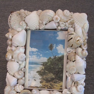 Beach Decor White Seashell Picture Frame Shell Frame White Shell Picture Frame Shell Wood Frame Beach Wedding Gift image 1