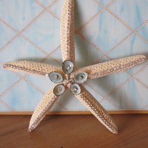 Decorated Starfish w/ Limpet Seashells & Swarovski Crystals  - Embellished Starfish - Coastal Home Decor - Beach Wedding