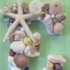 Beach Decor Seashell Letter d Soft Tropical Colored Shell Letter Shell ...