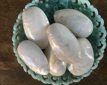 Polished Pearl Oyster Pairs (3 pcs)  - Pearlized Oyster Shell - Seashell Supply - Beach Wedding - Craft Seashells - Coastal Home Decor