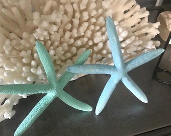 Beach Decor Blue and Green Colored Starfish (2) - Dyed Starfish -Seashell Supply - Coastal Home Decor - Beach Wedding