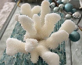 Beach Decor Cauliflower Coral - Natural Coral - Seashells - Beach Decor - Coastal Home Decor - White Coral - Beach Wedding - Centerpiece -