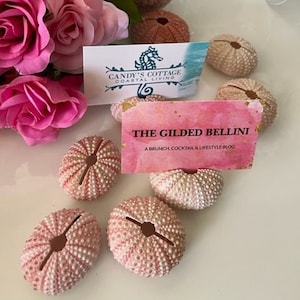 Porta biglietti da visita a forma di conchiglia - Porta biglietti da visita rosa Urchin - 10/20/50/100 - Matrimoni in spiaggia - Feste di addio al nubilato - Feste - Fidanzamento - Cene